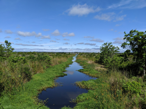 A serene landscape featuring a winding waterway surrounded by lush greenery and a clear blue sky.