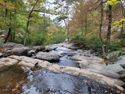 A serene stream flows over rocks, surrounded by trees with autumn foliage in a peaceful natural setting.