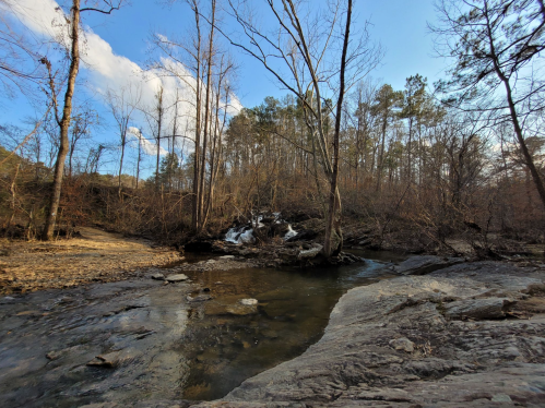 A serene stream flows through a wooded area, with bare trees and a small waterfall in the background under a blue sky.