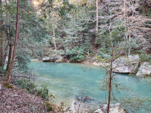 A serene river flows through a lush forest, surrounded by trees and rocky banks, reflecting soft sunlight.