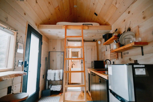 Cozy interior of a tiny house featuring a loft bed, wooden ladder, kitchen area, and natural wood paneling.