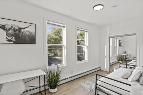 Bright, modern bedroom with large windows, a desk, and a framed cow portrait on the wall.