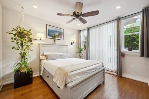 Cozy bedroom with a bed, ceiling fan, plants, and large windows letting in natural light.