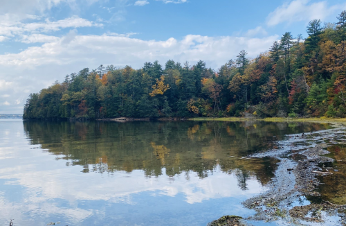 A serene lake surrounded by trees with autumn foliage, reflecting the sky and landscape on calm water.