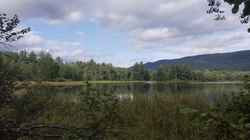 A serene lake surrounded by lush greenery and mountains under a partly cloudy sky.