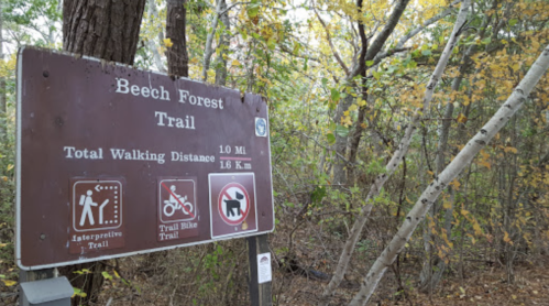 Sign for Beech Forest Trail, indicating a 1.0-mile walking distance, with symbols for hiking, biking, and no motor vehicles.