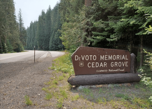 Sign for DeVoto Memorial Cedar Grove in Clearwater National Forest, surrounded by tall trees and a gravel roadside.