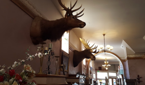 Two mounted deer heads on the wall of a vintage interior, with decorative flowers and chandeliers in the background.