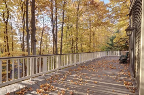 A wooden deck surrounded by trees with vibrant autumn leaves, scattered leaves on the ground, and clear blue skies.
