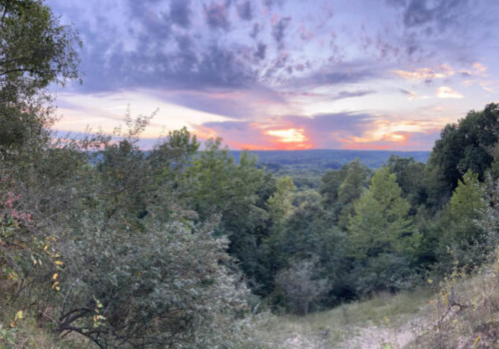 A scenic view of a sunset over a lush landscape with trees and a colorful sky.