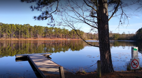 A serene lake view with a wooden dock, surrounded by trees and a no fishing sign nearby.