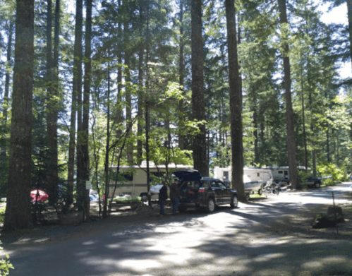 A campsite surrounded by tall trees, featuring parked RVs and a car on a gravel road. Sunlight filters through the leaves.