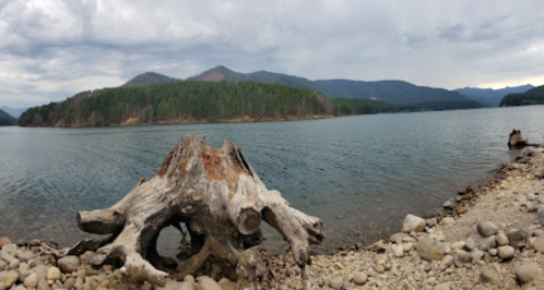 A panoramic view of a calm lake surrounded by mountains, with a large, weathered tree stump in the foreground.