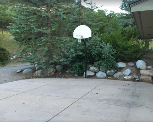 A basketball hoop stands beside a driveway, surrounded by trees and rocks in a natural setting.