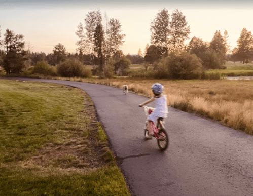 A child rides a bike along a path with a dog walking nearby, surrounded by trees and open fields at sunset.