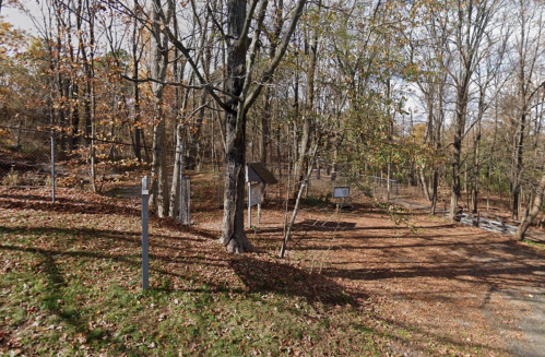 A wooded area with bare trees and fallen leaves, featuring a gravel path and informational signs.