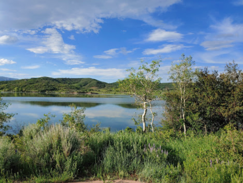 A serene lake surrounded by lush greenery and trees, under a bright blue sky with scattered clouds.