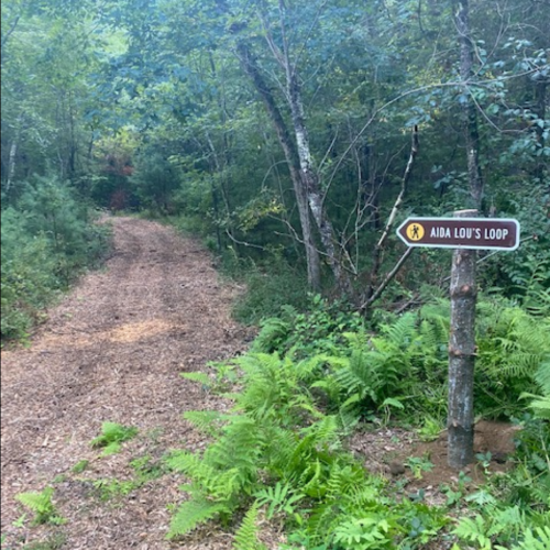 A dirt path through a forest with a sign for "Aida Lou's Loop" surrounded by greenery and ferns.