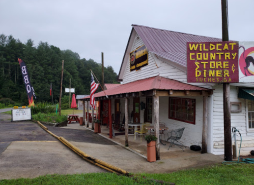 A rustic diner and country store with a red roof, flags, and signage, set in a rural area surrounded by trees.
