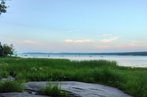 A serene lakeside view with boats on the water, surrounded by lush green grass and a clear blue sky.