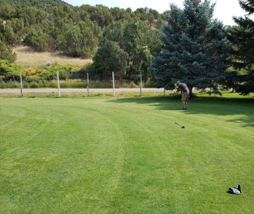 A person prepares to hit a golf ball on a lush green lawn, surrounded by trees and a fence in the background.