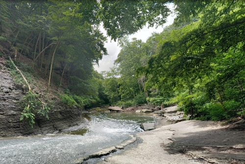 A serene river flows through a lush green forest, surrounded by rocky banks and trees under a cloudy sky.