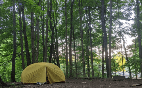 A yellow tent set up in a lush green forest with trees and a hint of sunset in the background.