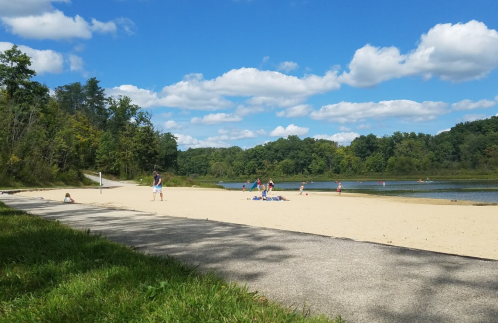 A sandy beach by a lake with people enjoying the sun, surrounded by trees and a blue sky with fluffy clouds.