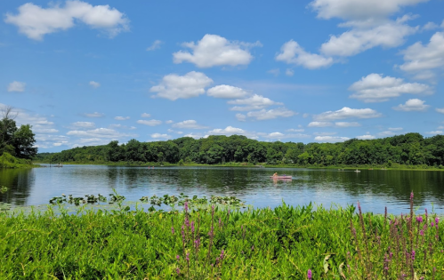 A serene lake surrounded by greenery and trees, with fluffy clouds in a blue sky and a person kayaking in the distance.