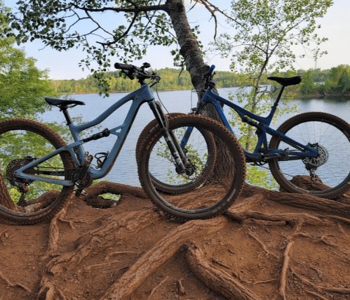 Two blue mountain bikes resting on a tree root by a calm lake, surrounded by greenery and trees.