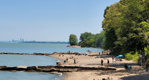A sunny beach scene with people enjoying the shore, trees lining the coast, and a city skyline in the distance.