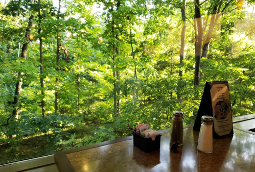 A table with condiments overlooks a lush green forest through a large window. Sunlight filters through the trees.