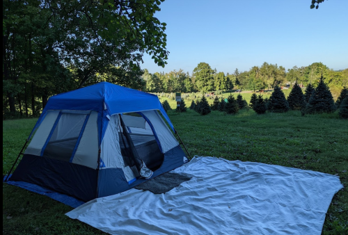 A blue and gray tent set up on a grassy area, with a white tarp spread out in front and trees in the background.