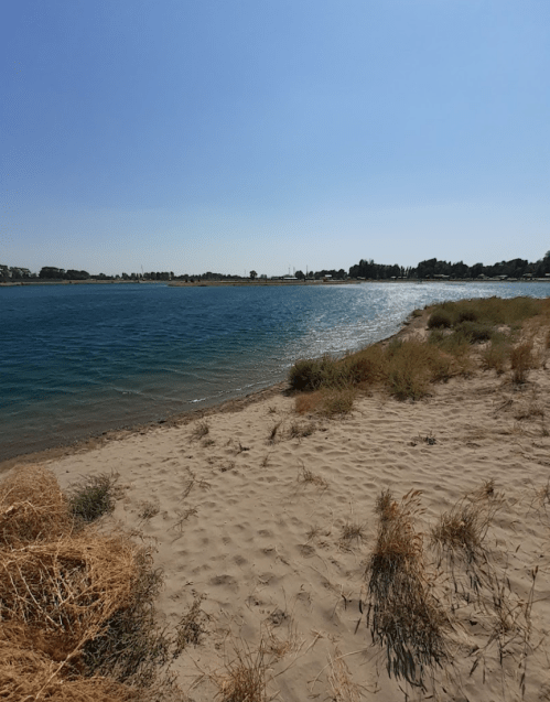 A serene beach scene with sandy shore, gentle waves, and clear blue sky reflecting on the water.