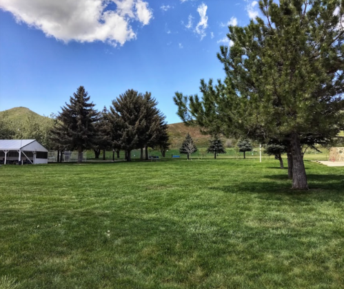 A grassy field with tall trees under a blue sky with clouds, surrounded by mountains in the background.