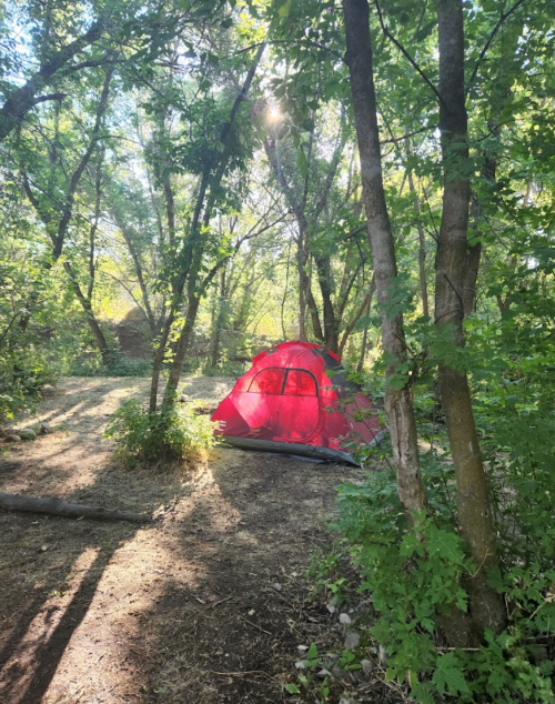A red tent nestled among green trees in a sunlit forest clearing.