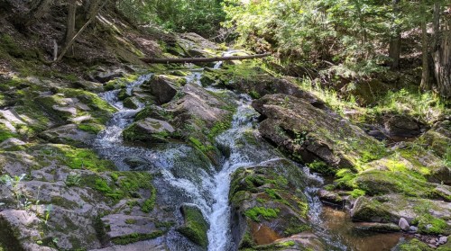 A serene stream flows over moss-covered rocks in a lush, green forest. Sunlight filters through the trees.