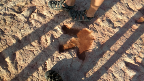Footprints in the sand with water pooled around them, surrounded by rocky terrain and shadows from nearby feet.