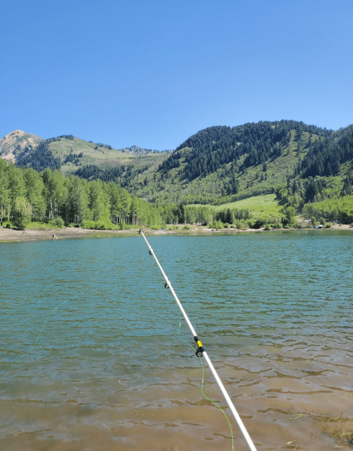 A fishing rod extends over a calm lake, surrounded by lush green mountains and clear blue skies.