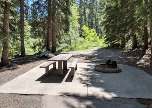A picnic table and fire pit surrounded by trees in a serene forest setting.