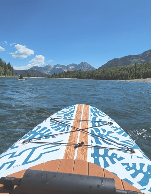 A paddleboard on a lake with mountains and trees in the background under a clear blue sky.