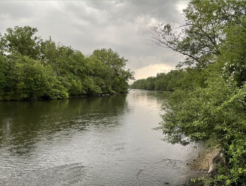 A serene river flows through lush greenery under a cloudy sky, with trees lining the banks.