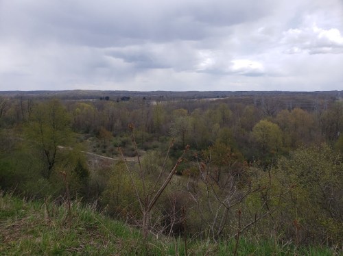 A scenic view of a lush, green valley under a cloudy sky, with trees and hills in the distance.