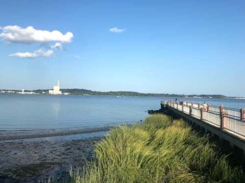 A calm waterfront scene with a pier, grassy shoreline, and distant buildings under a clear blue sky.