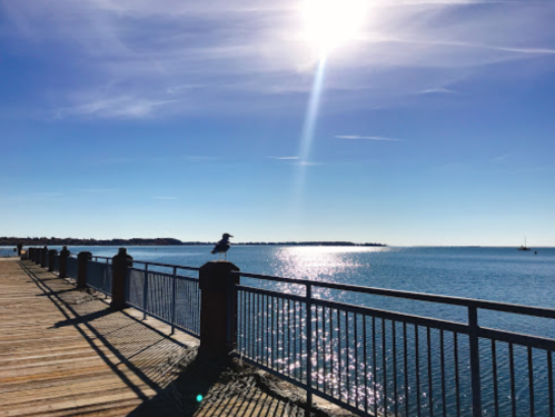 A sunny pier with a bird perched on the railing, overlooking a calm blue sea and distant shoreline.
