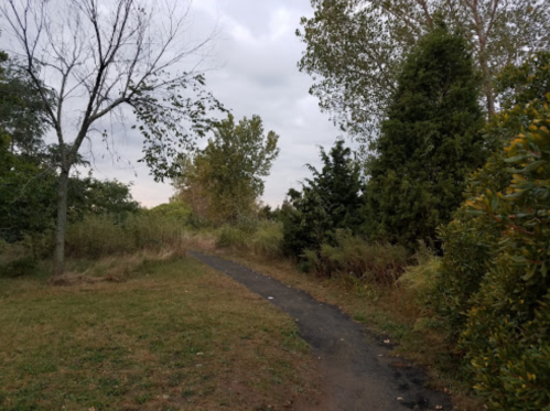 A winding path through a grassy area, surrounded by trees and cloudy skies.