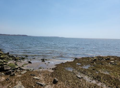A serene coastal view with calm waters, rocky shore, and clear blue sky.