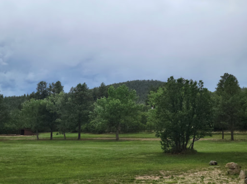 A grassy field with scattered trees and a distant hill under a cloudy sky.