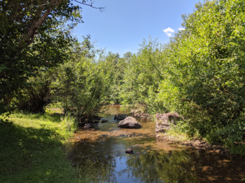 A serene stream flows through a lush green landscape, surrounded by trees and rocks under a clear blue sky.