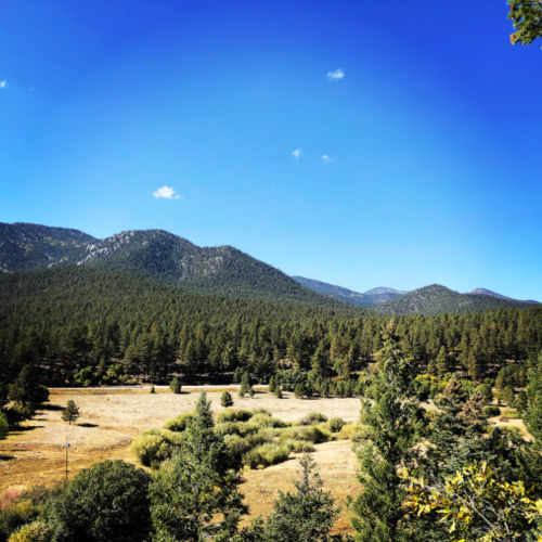A scenic view of mountains and a forested landscape under a clear blue sky.
